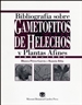 BibliografÃ­a sobre Gametofitos de Helechos y Plantas Afines, 1699-1996