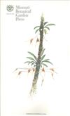 Orchid Print, Paquishae (A Treasure of Masdevallia, Vol. 22)  