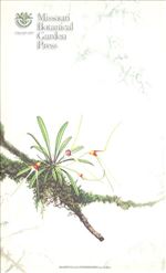 Orchid Print, Condorensis (A Treasure of Masdevallia, Vol. 23)   