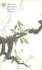 Orchid Print, Cylix (A Treasure of Masdevallia, Vol. 23)  