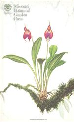 Orchid Print, Eumeliae (A Treasure of Masdevallia, Vol. 23) 