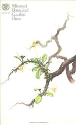 Orchid Print, Schoonenii (A Treasure of Masdevallia, Vol. 23)    