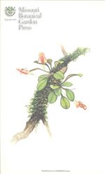 Orchid Print, Catapheres (A Treasure of Masdevallia, Vol. 24)   