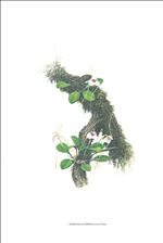 Orchid Print, Ejiriana (A Treasure of Masdevallia, Vol. 26) 
