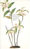 Orchid Print, Dendrobium Ramosum (Thesaurus Woolwardiae, Vol. 2)  