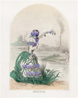 Rare Book Print, Forget-Me-Not (from Les Fleurs Animees)