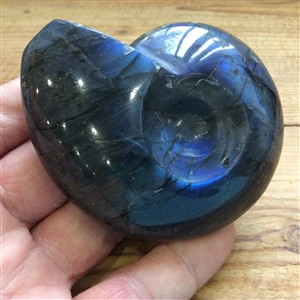 Labradorite Ammonite Carving