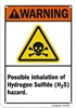 ANSI Hydrogen Sulfide (H2S) Plastic Warning Sign
