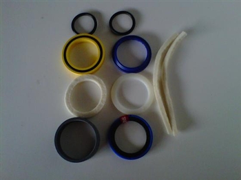 Rotary FJ783-12TH Seal Kit