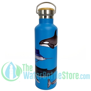 25oz 750ml Stainless Steel Insulated Water Bottle Sea Life by Beachcomber