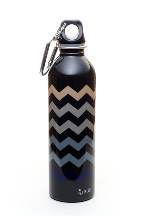 EarthLust 20 oz Chevron Stainless Steel Metal Water Bottle