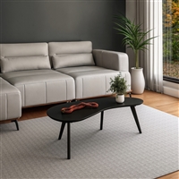 Mid Century Modern Coffee Table - Black Finish