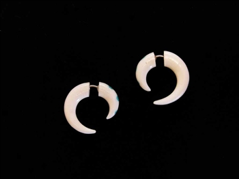 Domestic water buffalo bone earrings carved into a spiral only 1" long with turquoise inlay.