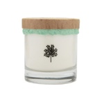 Signature Growth Soy Candle Rosemary Tea Tree