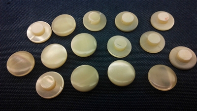 shell shank buttons