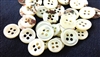 Trocas Shirt Buttons - White, 4-Hole, Normal Thickness