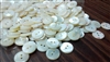 Curvy top trocas shell buttons