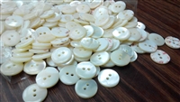 Curvy top trocas shell buttons