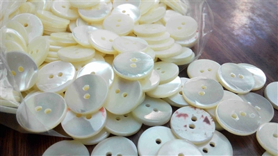 Flat top trocas shell buttons