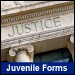 Juvenile Summons Emancipation Proceeding J-910M