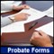 Account of Fiduciary, Long Form (PC 584)
