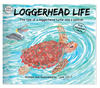 Book-Loggerhead Life