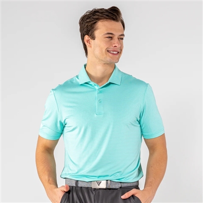 Levelwear Menâ€™s CL Logo - Central Polo, Beach Glass