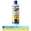 Mane 'n Tail Gentle Clarifying SHAMPOO 12oz(EA)
