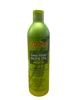 Arganics Extra Virgin Olive Oil Shampoo 12oz(EA)