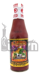 Iguana Hot n' Spicy Catsup