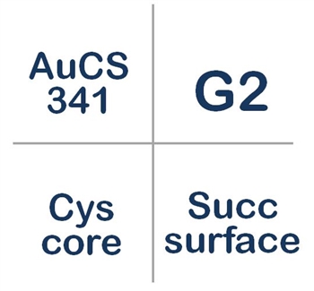 AuCS-341