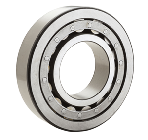 NJ305EG Casale C-500 Bearing