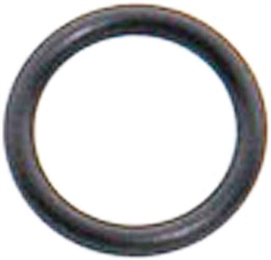 Fuel Pump O-Ring