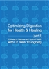 Optimizing Digestion for Health and Healing
