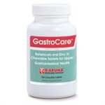 GastroCare