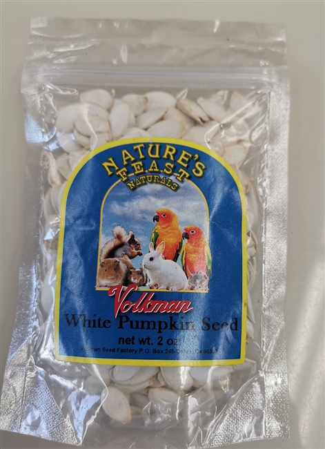 White Pumpkin Seeds - 2 Oz