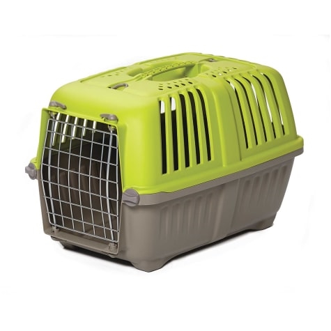 Plastic Carrier - Green - 19"