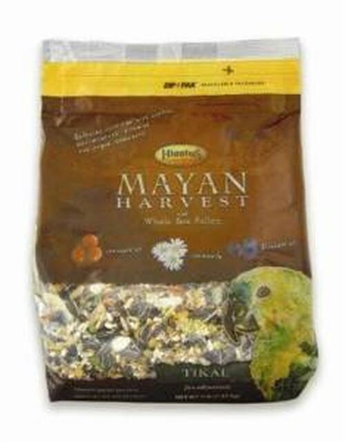 Higgins Mayan Harvest Tikal - Parrot & Eclectus - 20lb