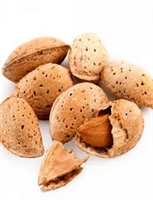 #1007 Aria Nature's Raw Unsalted Almonds In-Shell - 1lb