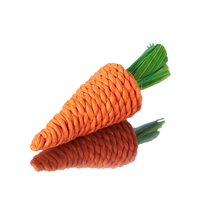 #2412 Aria Carrot Chewy