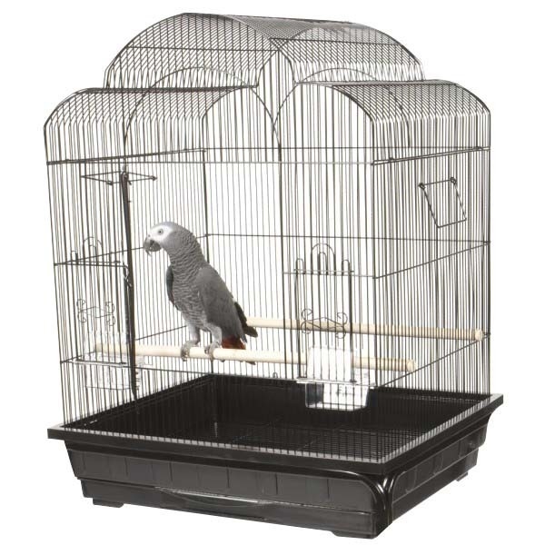 #AE29626 Victorian Cage - Black - 25" x 21"