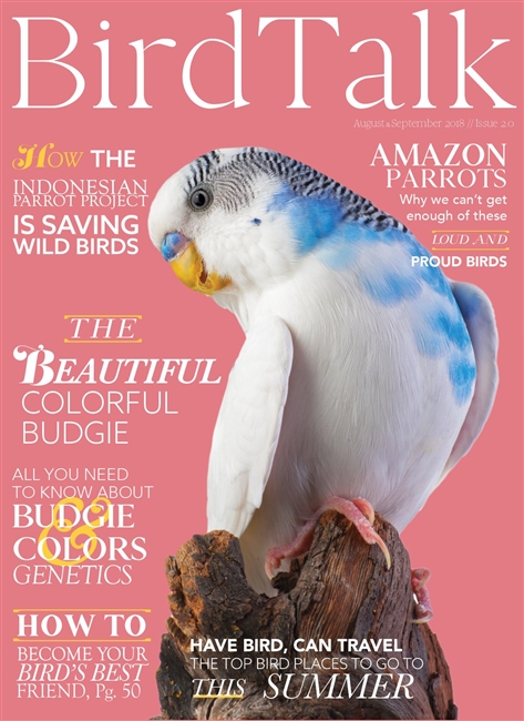 Bird Talk Magazine