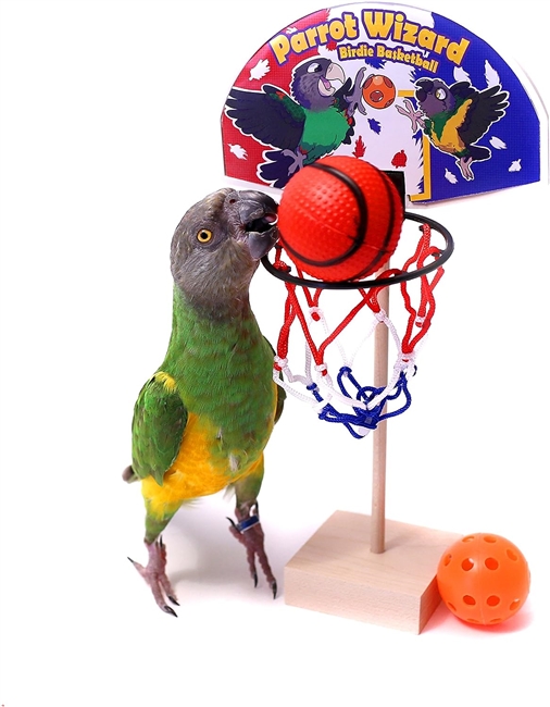 Birdie Basketball by Parrot Wizard