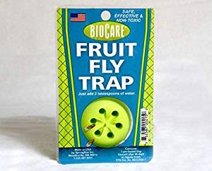 FRUIT FLY TRAP