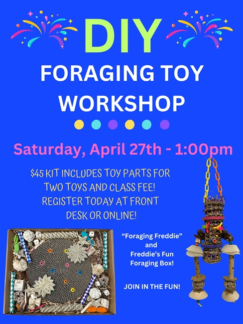 DIY Foraging Toy Workshop - April 27, 2024 1:00 PM