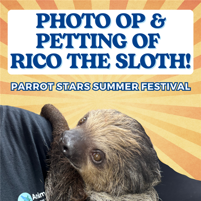 Photo Op & Petting with Rico The Sloth  Saturday, July 19th 2:00pm - 3:00pm
