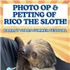 Photo Op & Petting with Rico The Sloth  Sunday, July 20th 1:00pm - 2:00pm