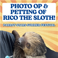 Photo Op & Petting with Rico The Sloth  Sunday, July 20th 1:00pm - 2:00pm