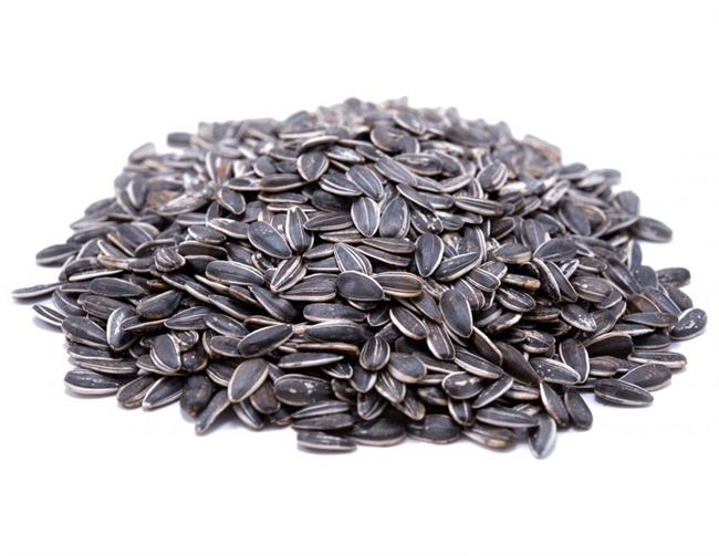 Sunflower Seeds - Bulk