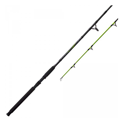 Zebco Big Cat Spinning Rod